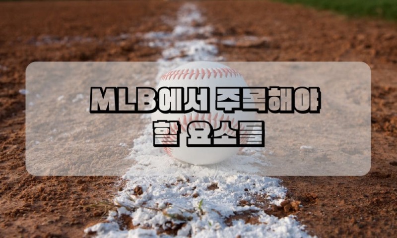 MLB에서 주목해야  할 요소들.jpg